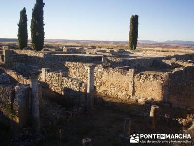 Casa Yacimiento arqueológico Clunia Sulpicia; las excursiones; excursiones turismo